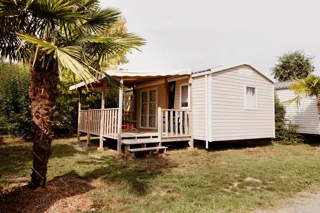 M H Tournesol.resized.jpg