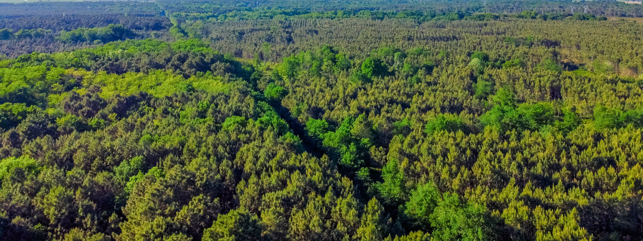 Camping Le Paradis espaces verts
