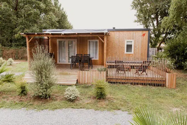 M H Magnolia.resized.jpg